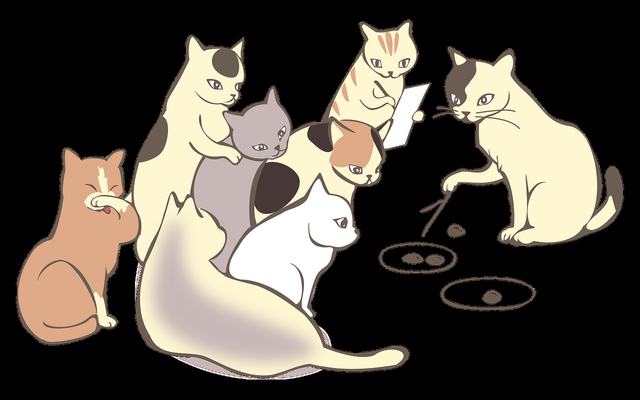 欧盟驻华代表团花式幽默为高考生应援~