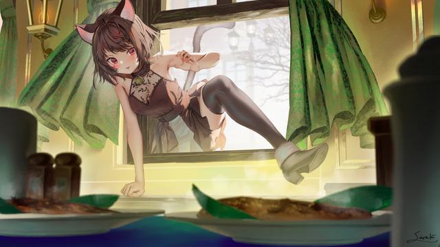 美众院叫停对伊战事