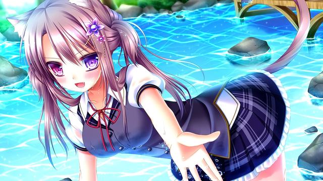 战争艺术无限进化破解版